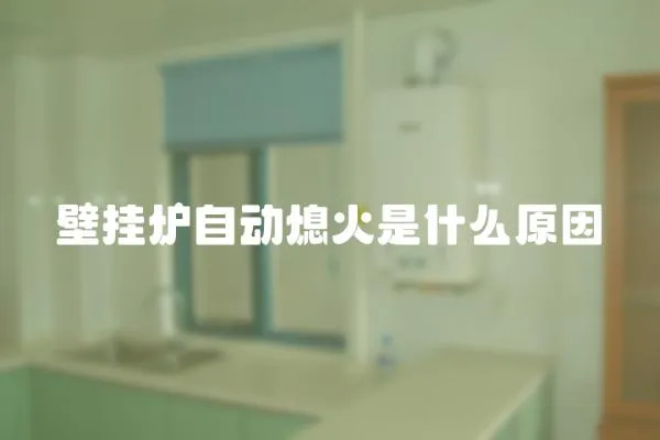 壁掛爐自動熄火是什么原因