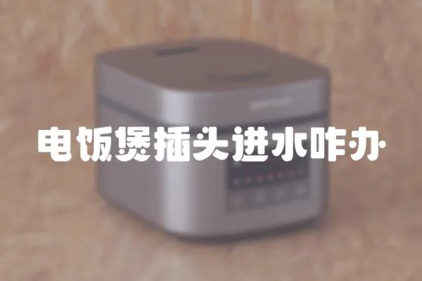電飯煲插頭進水咋辦