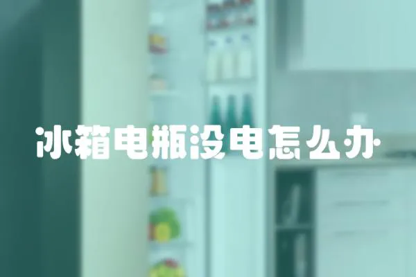 冰箱電瓶沒(méi)電怎么辦