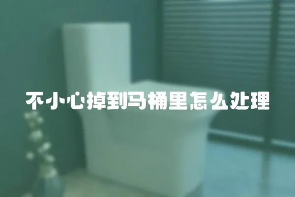 不小心掉到馬桶里怎么處理
