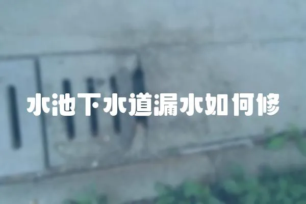 水池下水道漏水如何修