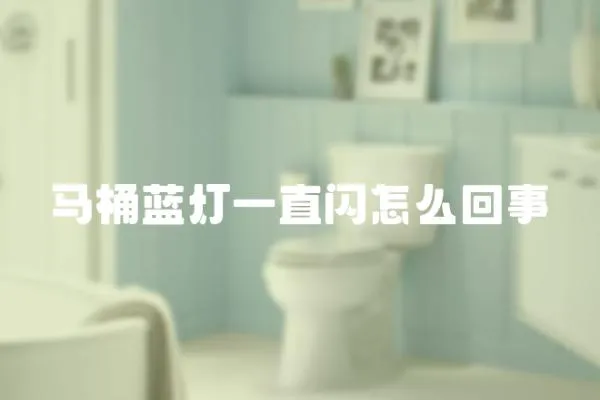 馬桶藍(lán)燈一直閃怎么回事