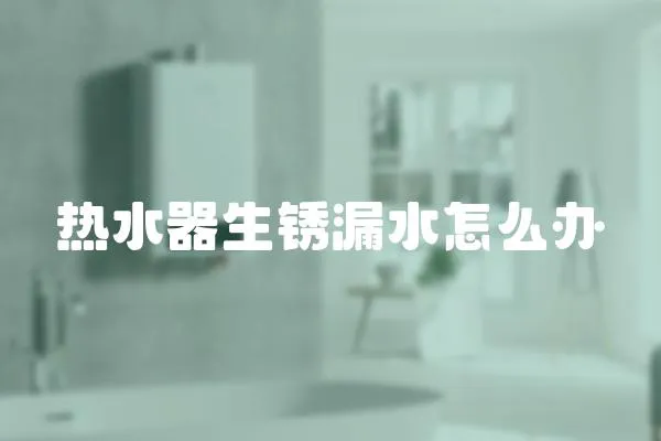 熱水器生銹漏水怎么辦