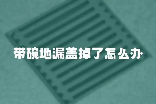 帶碗地漏蓋掉了怎么辦