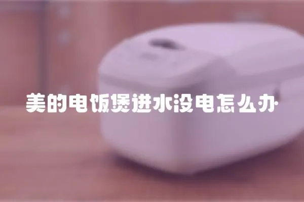 美的电饭煲进水没电怎么办