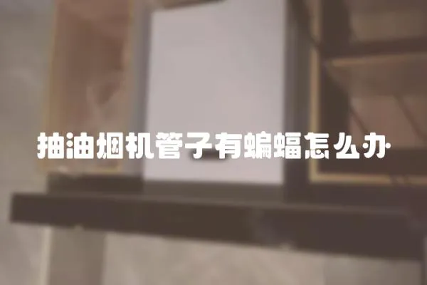 抽油煙機管子有蝙蝠怎么辦