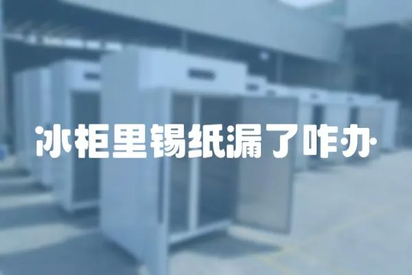 冰柜里錫紙漏了咋辦