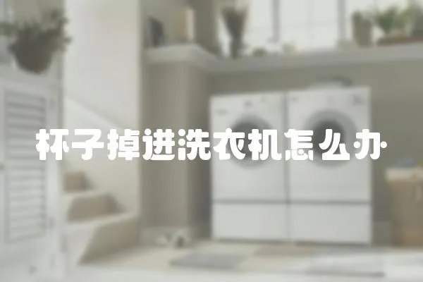 杯子掉進洗衣機怎么辦