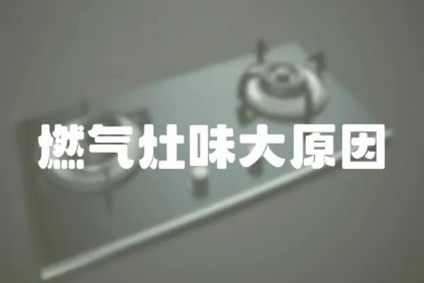 燃氣灶味大原因