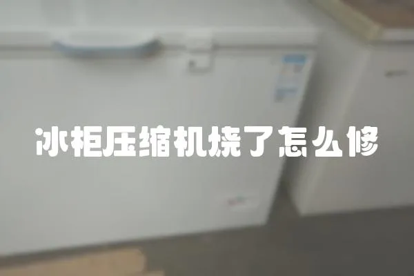 冰柜壓縮機燒了怎么修
