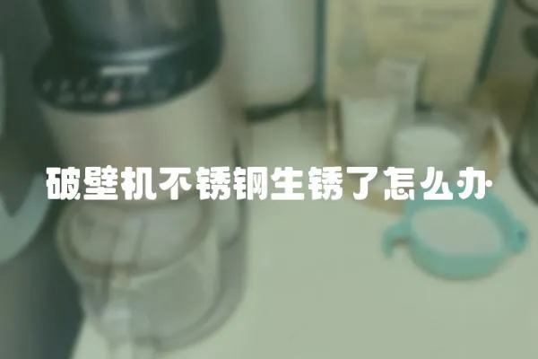 破壁機不銹鋼生銹了怎么辦