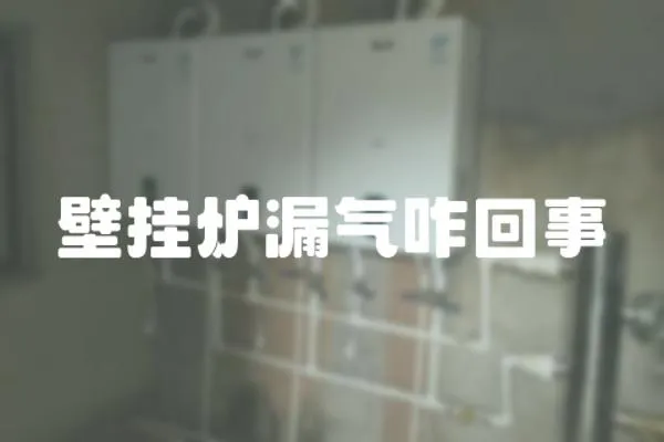 壁掛爐漏氣咋回事