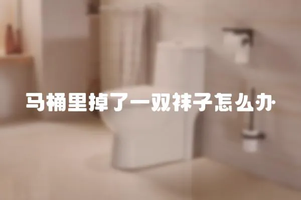 馬桶里掉了一雙襪子怎么辦