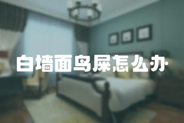 白墻面鳥屎怎么辦