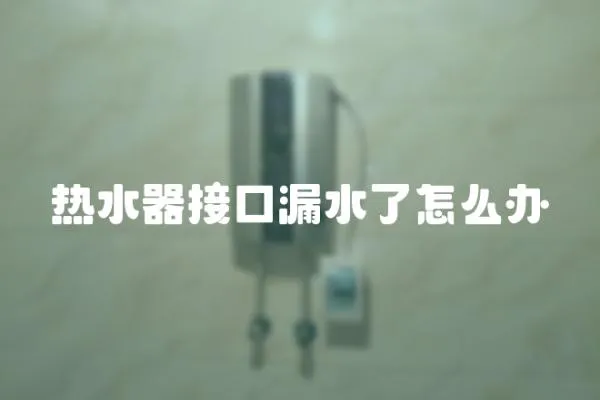 熱水器接口漏水了怎么辦