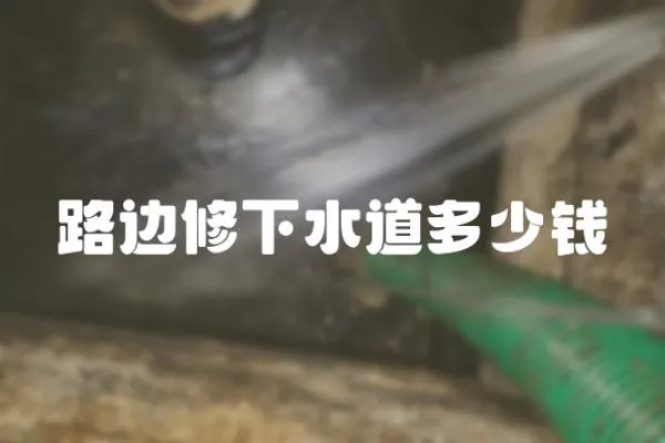 路邊修下水道多少錢