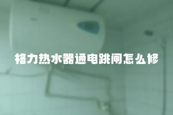 格力熱水器通電跳閘怎么修