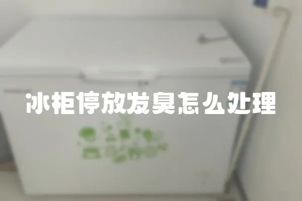冰柜停放發臭怎么處理