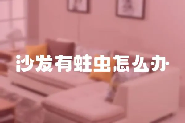 沙發有蛀蟲怎么辦