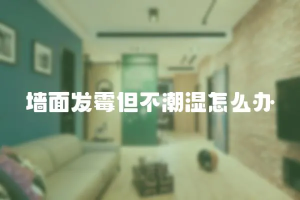 墻面發霉但不潮濕怎么辦