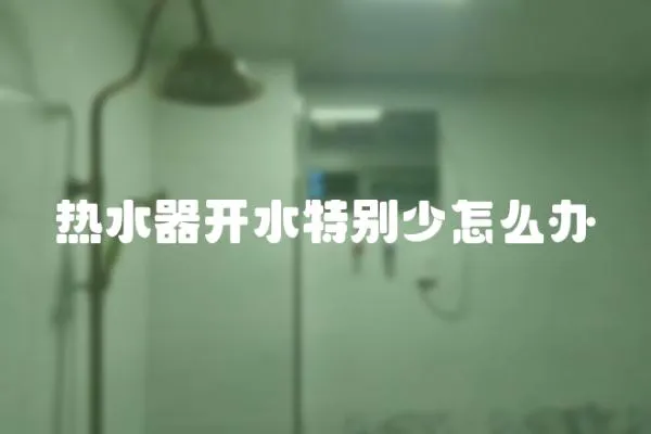 熱水器開水特別少怎么辦