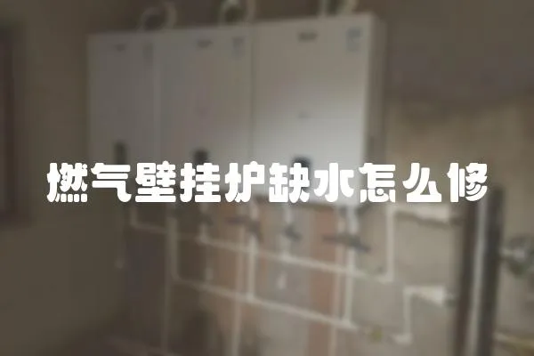 燃气壁挂炉缺水怎么修