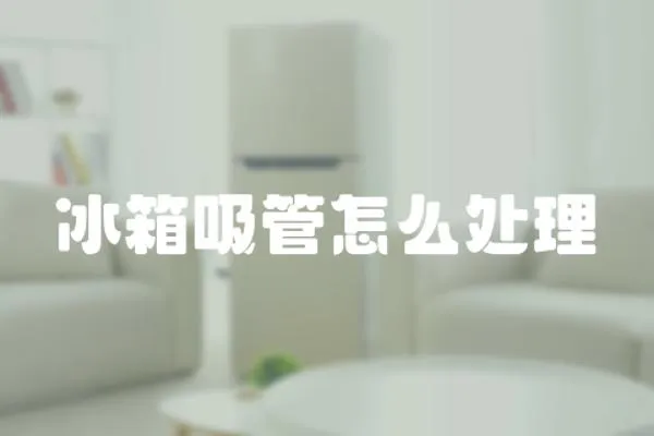 冰箱吸管怎么處理