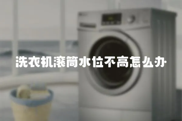 洗衣機滾筒水位不高怎么辦