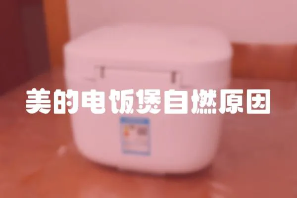 美的電飯煲自燃原因