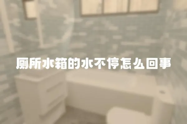 廁所水箱的水不停怎么回事