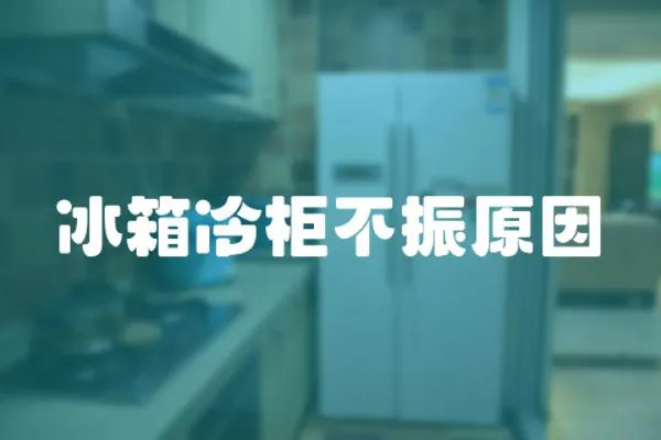 冰箱冷柜不振原因