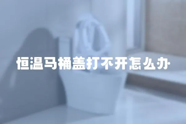 恒溫馬桶蓋打不開怎么辦