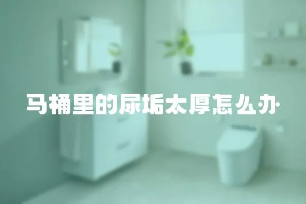 馬桶里的尿垢太厚怎么辦