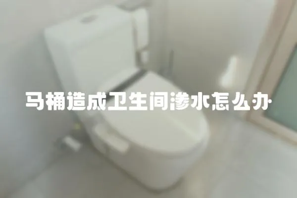 馬桶造成衛生間滲水怎么辦