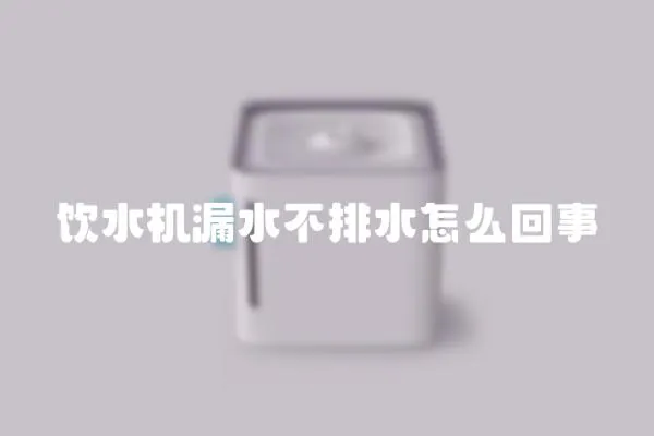 飲水機漏水不排水怎么回事