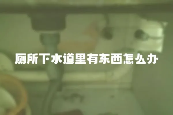 廁所下水道里有東西怎么辦