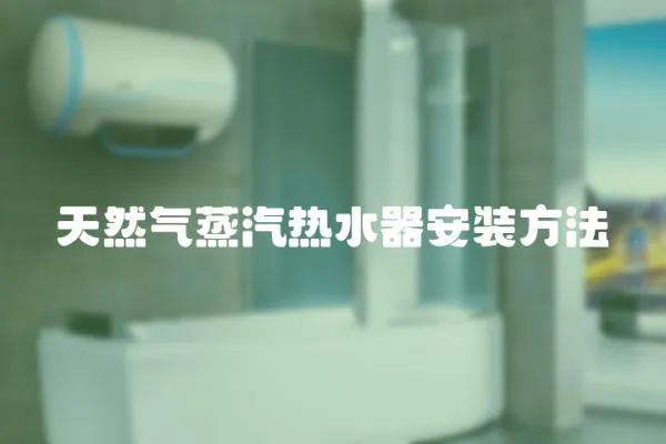 天然氣蒸汽熱水器安裝方法