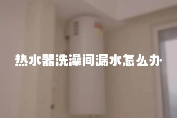 热水器洗澡间漏水怎么办