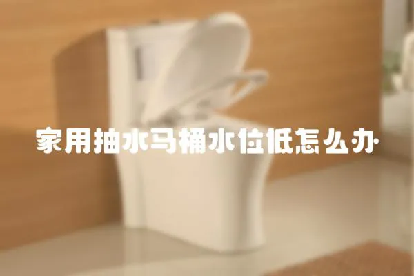 家用抽水馬桶水位低怎么辦