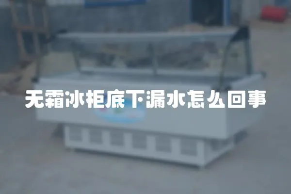 無霜冰柜底下漏水怎么回事
