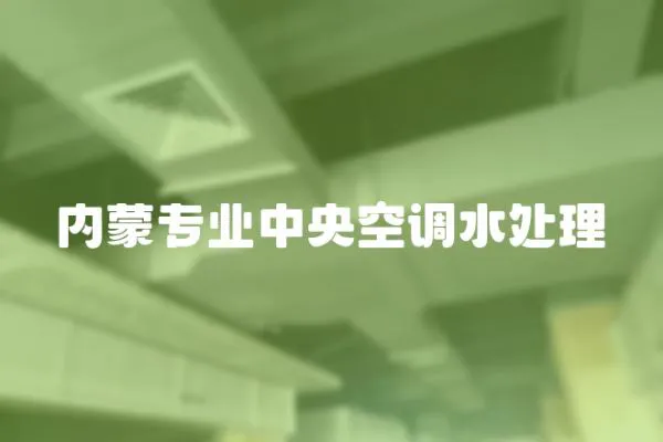內(nèi)蒙專業(yè)中央空調(diào)水處理
