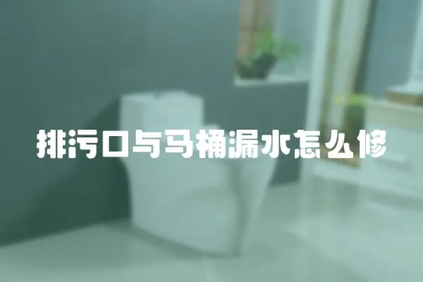 排污口与马桶漏水怎么修