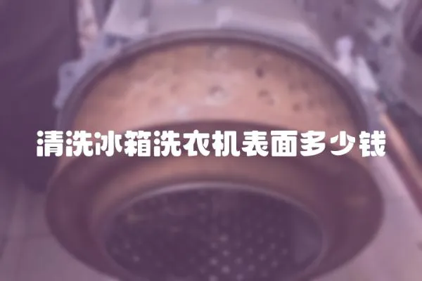 清洗冰箱洗衣機表面多少錢