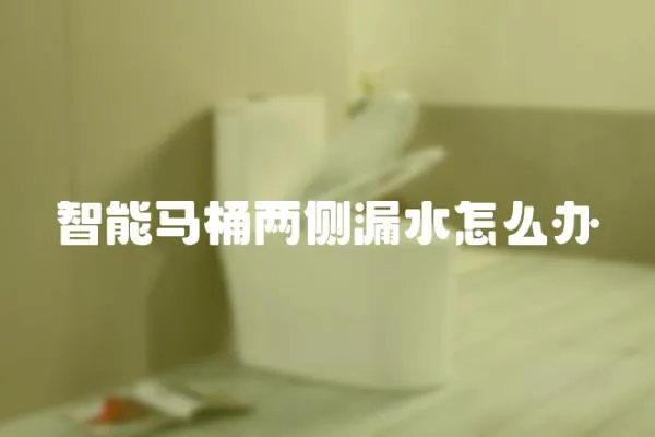 智能馬桶兩側漏水怎么辦