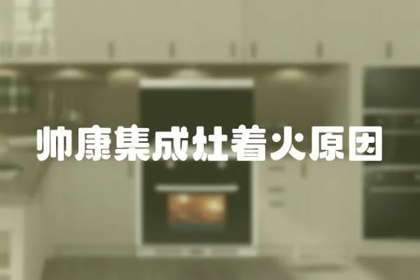 帥康集成灶著火原因