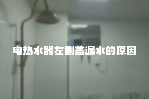 電熱水器左側蓋漏水的原因