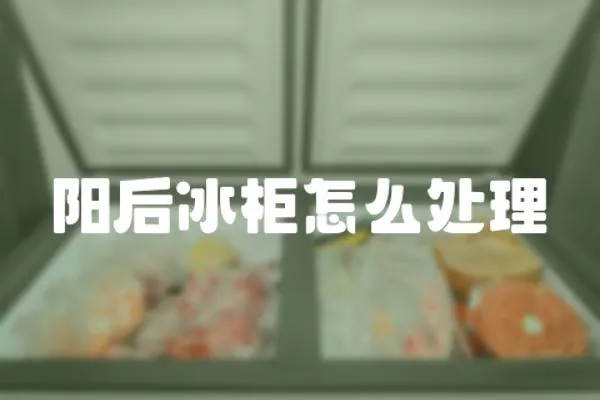 陽后冰柜怎么處理