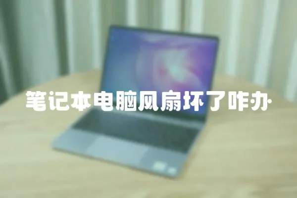 筆記本電腦風(fēng)扇壞了咋辦