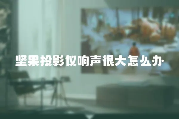 堅果投影儀響聲很大怎么辦