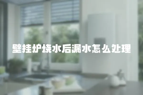 壁掛爐燒水后漏水怎么處理